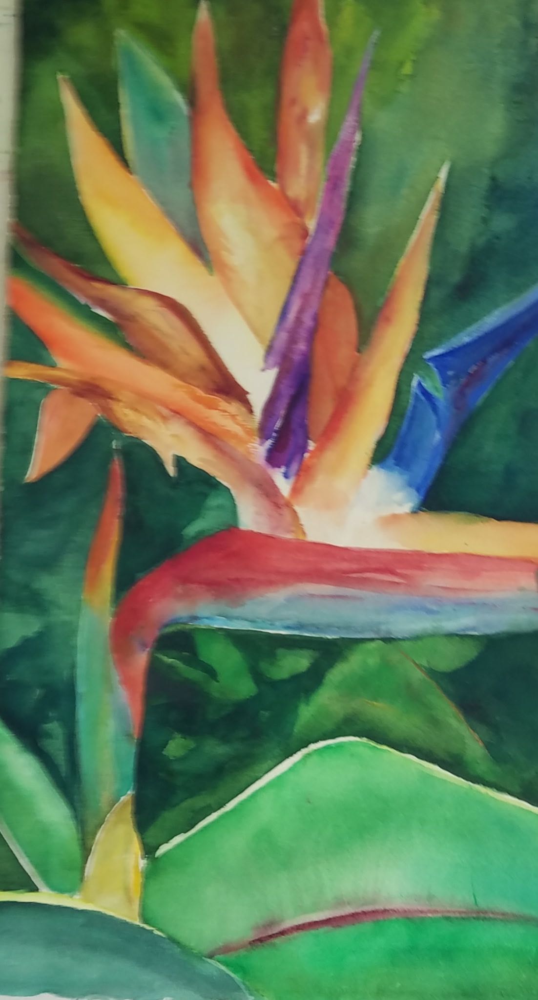 Tropical Majesty - Watercolor painting